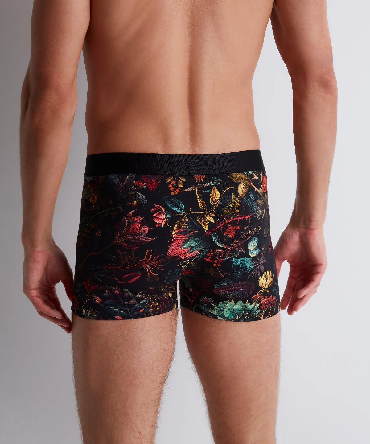 Aubade Homme Boxer homme Herbarium - Image 4